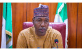 Someone Arrived In Borno IDP Camp With One Wife And Now Has Four Wives After Adding Three More In Camp –Governor Zulum