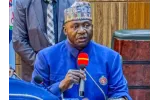 Sambisa Forest’s Vast Size Hampers Rescue Operations, Defence Minister Says