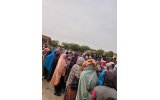 Nigeria Receives 497 Evacuated Migrants from Niger Republic Through Kano