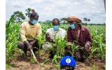 Nigeria’s Babban Gona Secures $7.5m from British Investment Bank to Boost Smallholder Farming