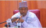 Zulum accuses military, politicians of working with Boko Haram