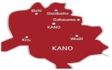 Kano Anti-Drug Commissioner Resigns Amid Controversy Over Surety Role