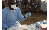Lassa Fever Death Toll Hits 204 in Nigeria as Case Fatality Rate Rises to 25.7%