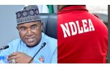 NDLEA Arrests Mexican Drug Kingpin, Dismantles Meth Lab in Ebonyi