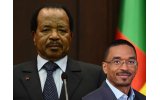 Cameroon’s Biya Appoints Son as Vice President and Military Chief Amid Power Concerns
