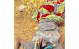 16-year-old girl brutally r@ped and m8rdered in Yobe