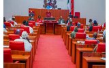 NCDC: Senate Approves North Central Development Commission
