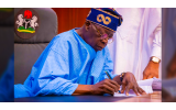 Tinubu Appoints John Nwabueze as Nigeria’s First Tax Ombudsman