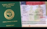 U.S. Suspends New Student Visa Interviews Amid Enhanced Social Media Screening