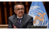 WHO Raises DR Congo Ebola Risk to ‘Very High’ Amid Rapid Spread