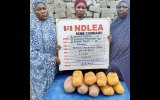 The National Drug Law Enforcement Agency (NDLEA) has conducted a series of successful operations across Nigeria, resulting in significant drug seizures and arrests: