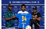 Former Super Eagles striker Brown Ideye returns home to play for Enyimba