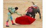 Protests as bullfighting returns to Mexico City