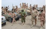 NAF, Troops Neutralise Over 30 Terrorists in Borno Operation
