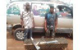 Police Arrest Two Over Attack on NURTW Officials in Ekiti, Recover Weapons and Vehicle