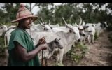 Fulani herdsmen given 48-hour ultimatum to vacate Benue community