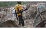 uspected Herdsmen Kidnap 3 Police Inspectors In Delta, Steal AK47 Rifles 