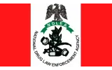 NDLEA Arrests Lagos Drug Kingpins, Foils Supplies to Bandits, and Destroys 24,000kg Cannabis in Nationwide Crackdown