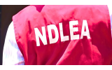 Woman Injured by Stray Bullet Allegedly Fired by NDLEA Operatives in Kano