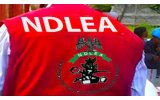 NDLEA Officer Drowns While Chasing Suspected Drug Offender Into Delta River