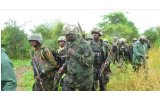 Troops Eliminate Terrorists, Disrupt Logistics Supply in Borno