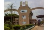 385 Bags First Class in UNIBEN As School Confers Honorary Doctorates on Iyase's Wife, Ikpea, Others