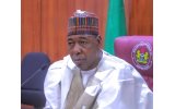 Zulum urges Chad Basin Authority to invest in groundwater irrigation to boost food security